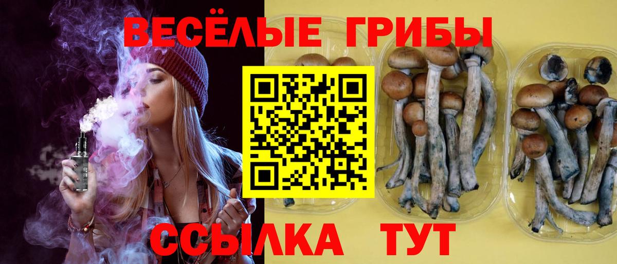 Галлюциногенные грибы Psilocybine cubensis Лесной
